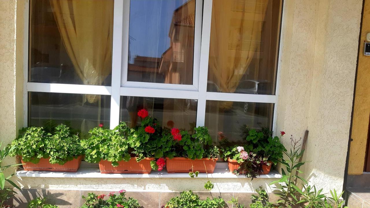 Къща За Гости Вълчеви Несебър Extérieur photo